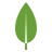 icon-mongodb